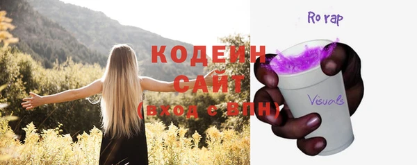 таблы Бородино
