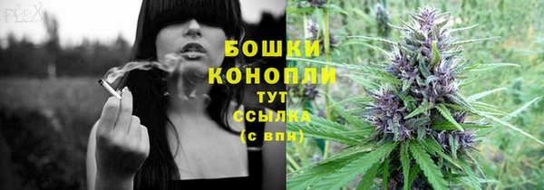 таблы Бородино