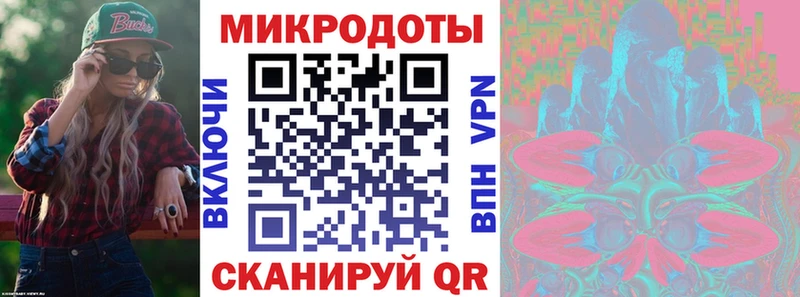 Псилоцибиновые грибы Psilocybine cubensis  Благовещенск 